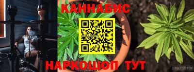молекула духа Донецк