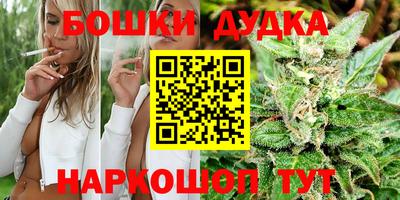 молекула духа Донецк
