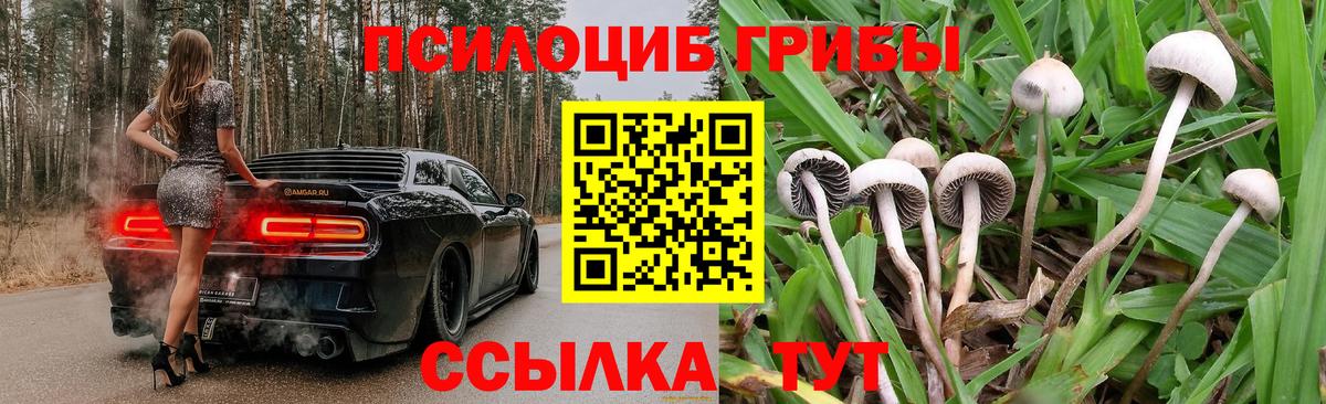 Мурино  Псилоцибиновые грибы мицелий  Вход с VPN 