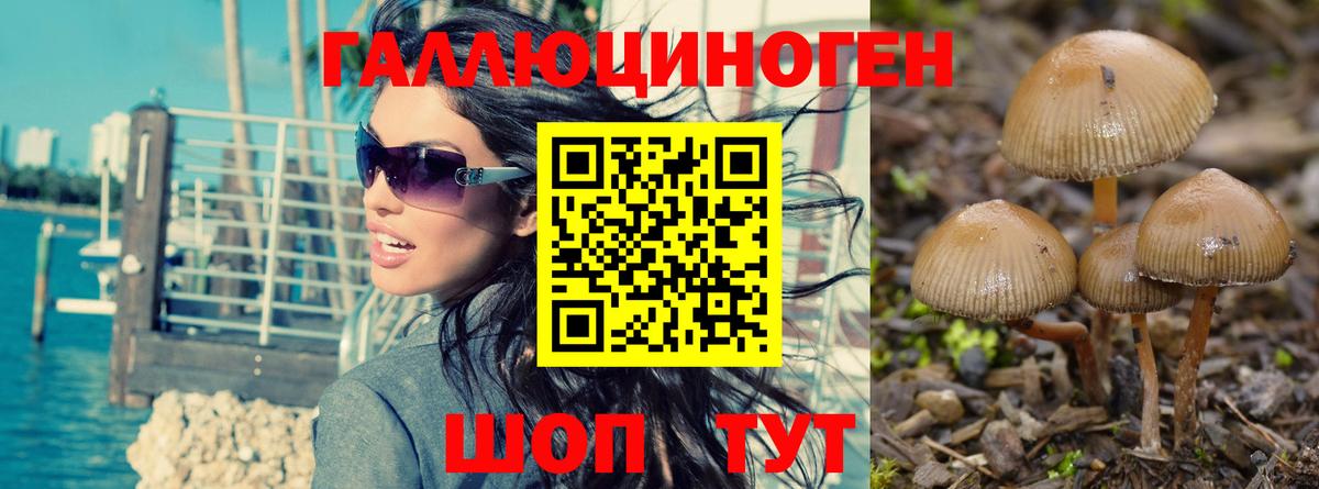 Псилоцибиновые грибы ЛСД Мурино